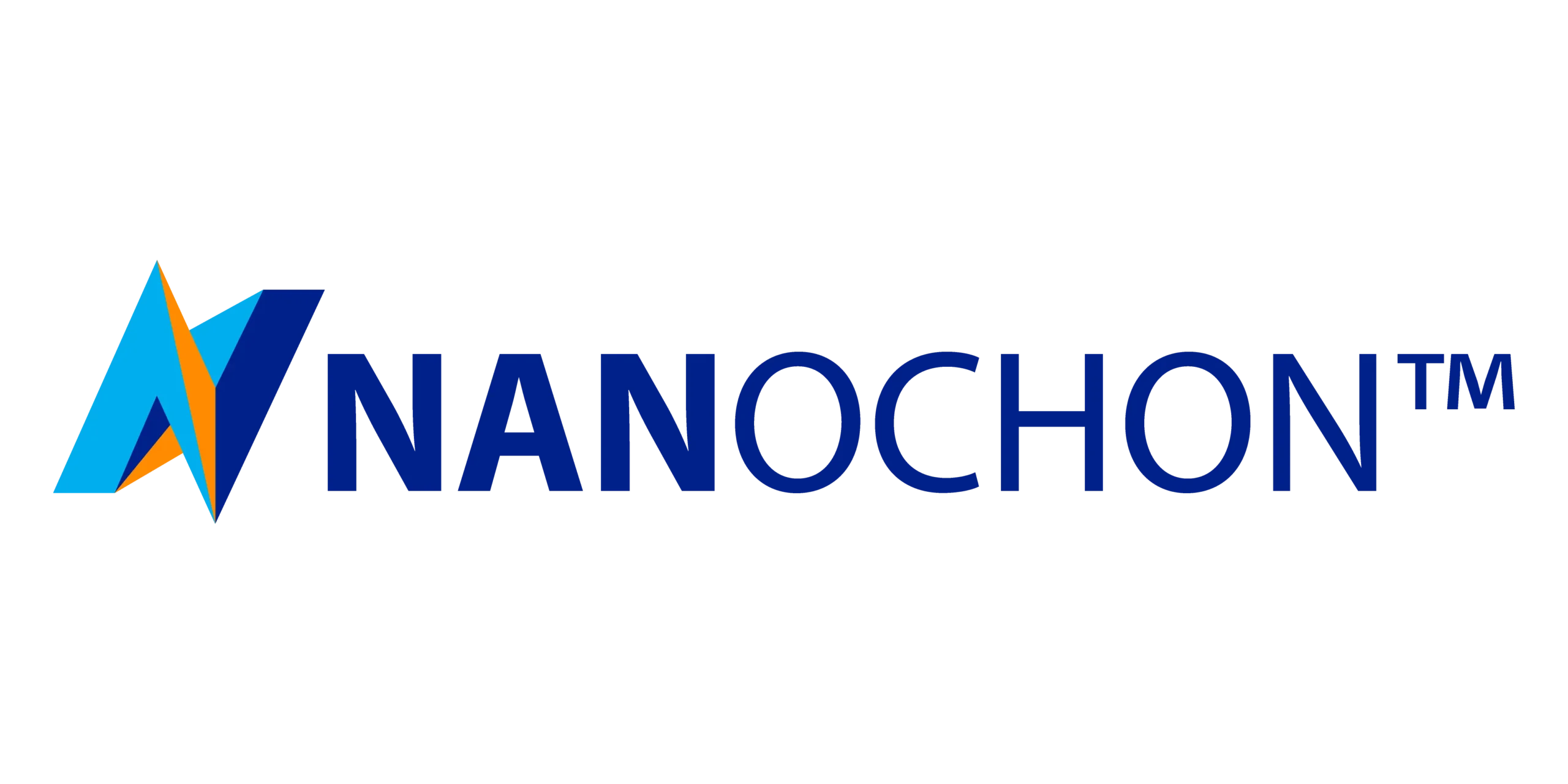 Nanchon's blue logo with a transparent background.